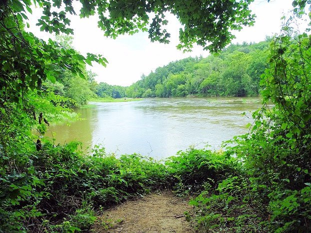 White Pines Nature Preserve景点图片
