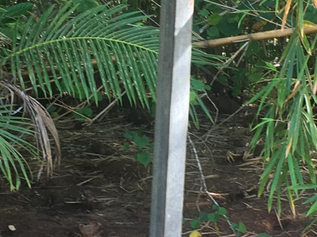 Valley Of The Latte Adventure Park-Talofofo必去景点