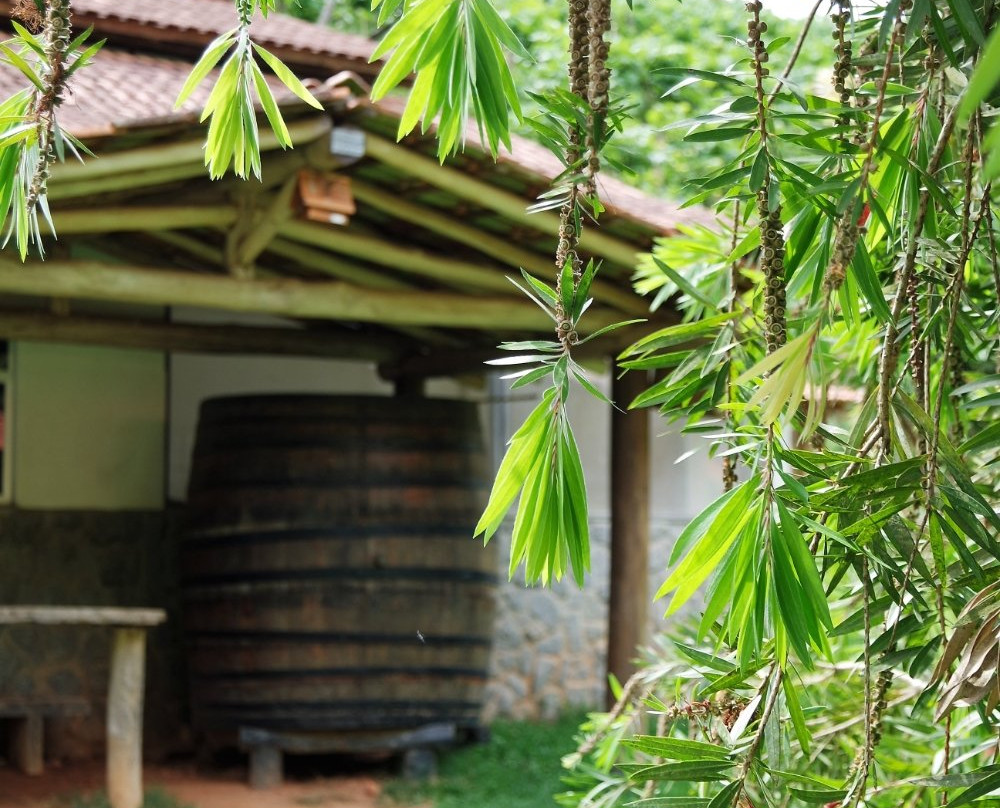 Vinícola Tonole-Venda Nova Do Imigrante必去景点