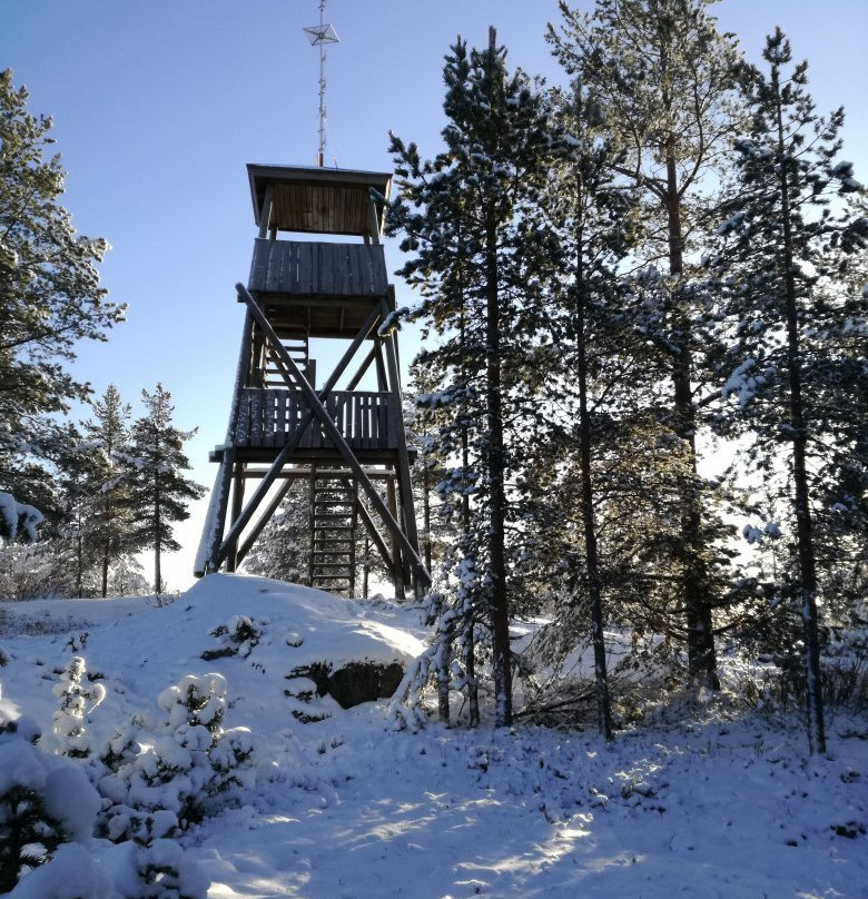 Syvasenvaara Fell-罗瓦涅米必去景点