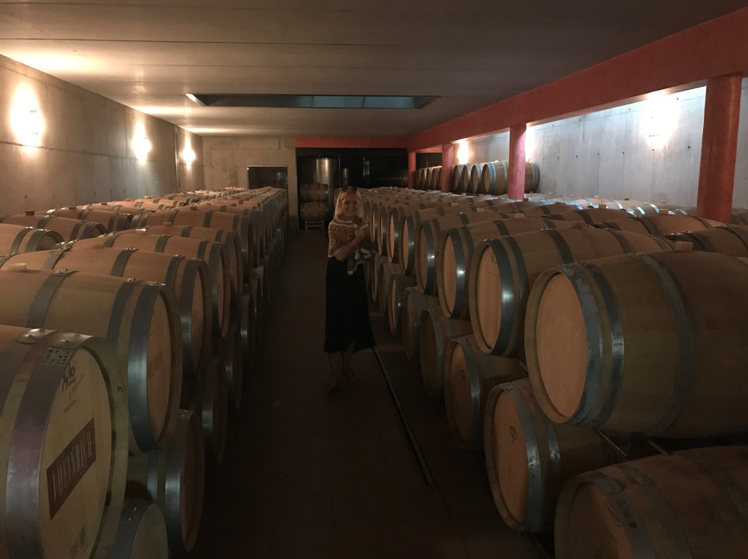Weingut Heinrich-Deutschkreutz必去景点