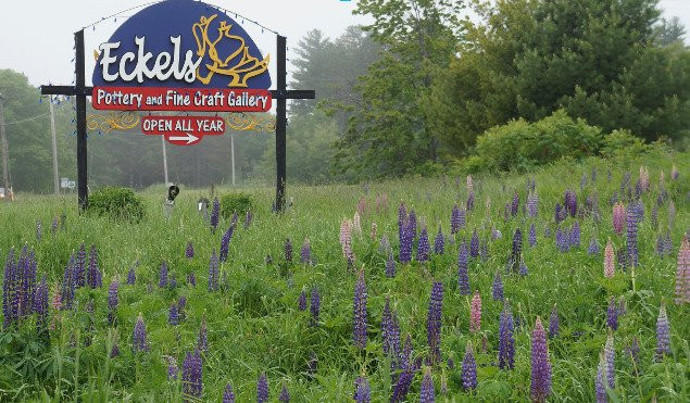 Eckels Pottery & Fine Craft Gallery景点图片