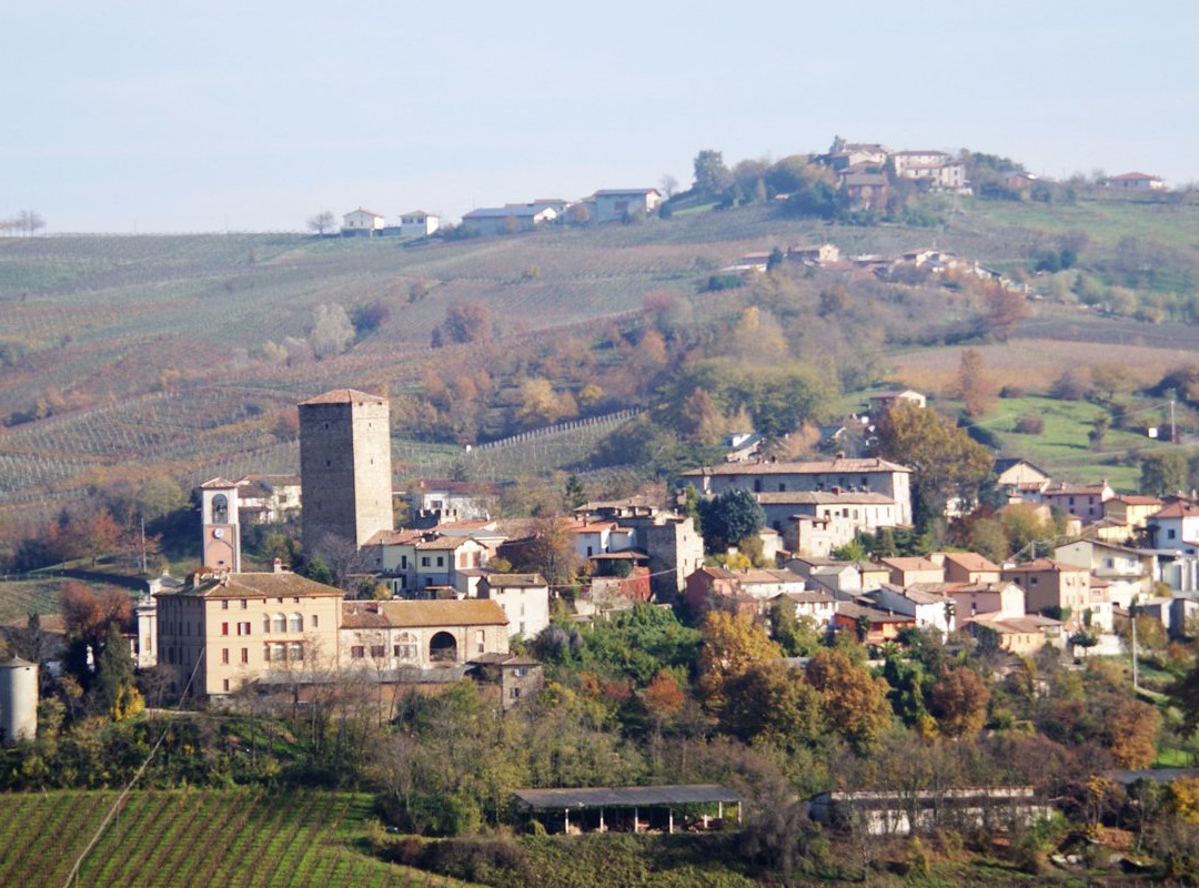 Tenuta Riccardi - Vini dal 1912景点图片