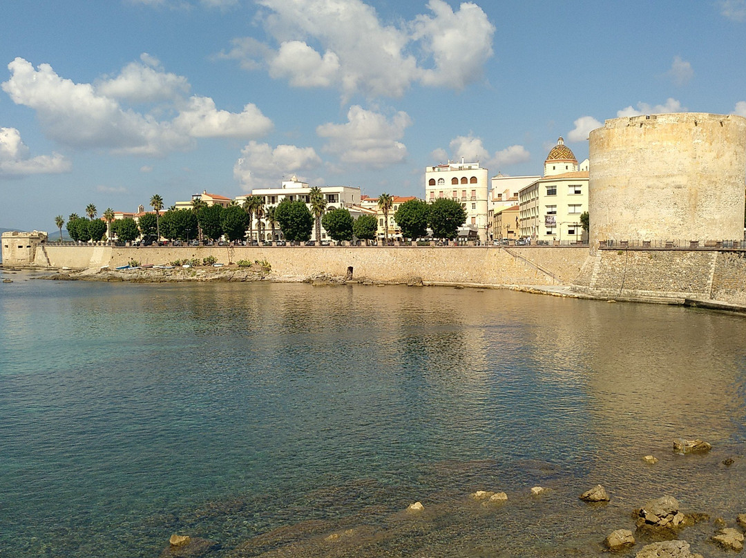 Torre dell'Espero Rejal景点图片