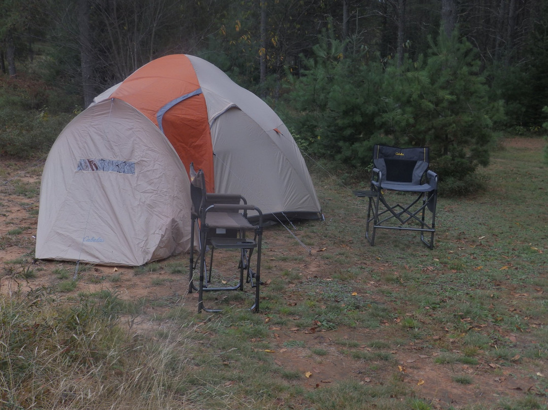 Rohr's Wilderness Tours Camping