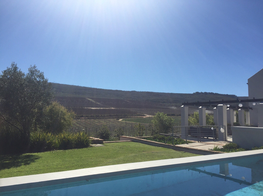 South Hill Vineyards - Elgin Western Cape-Elgin必去景点