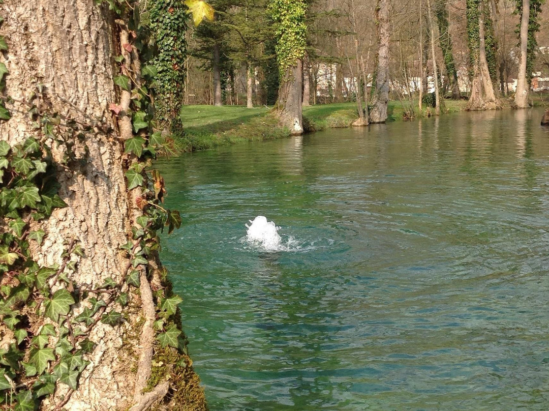 Parc des Îles景点图片