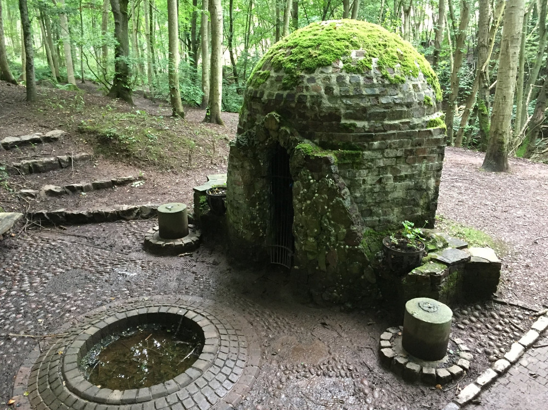 斯通黑文旅游景点-Dunnottar Woods