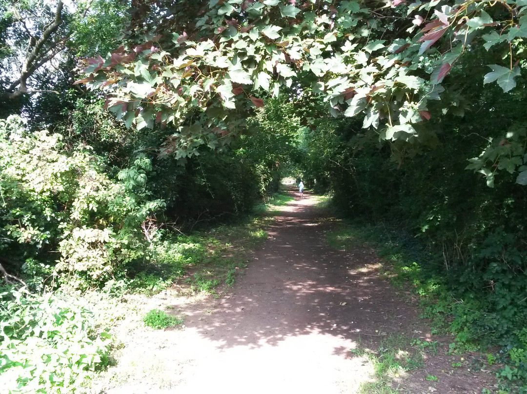 Buckingham Railway Walk景点图片