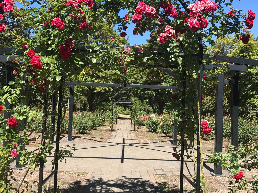 Rose Garden in Avery Park-科瓦利斯必去景点