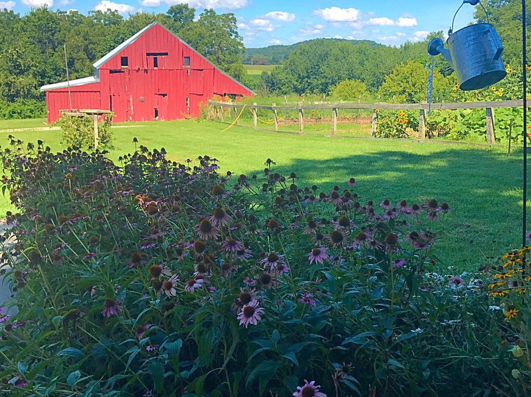 Endless Summer Winery-赫曼必去景点