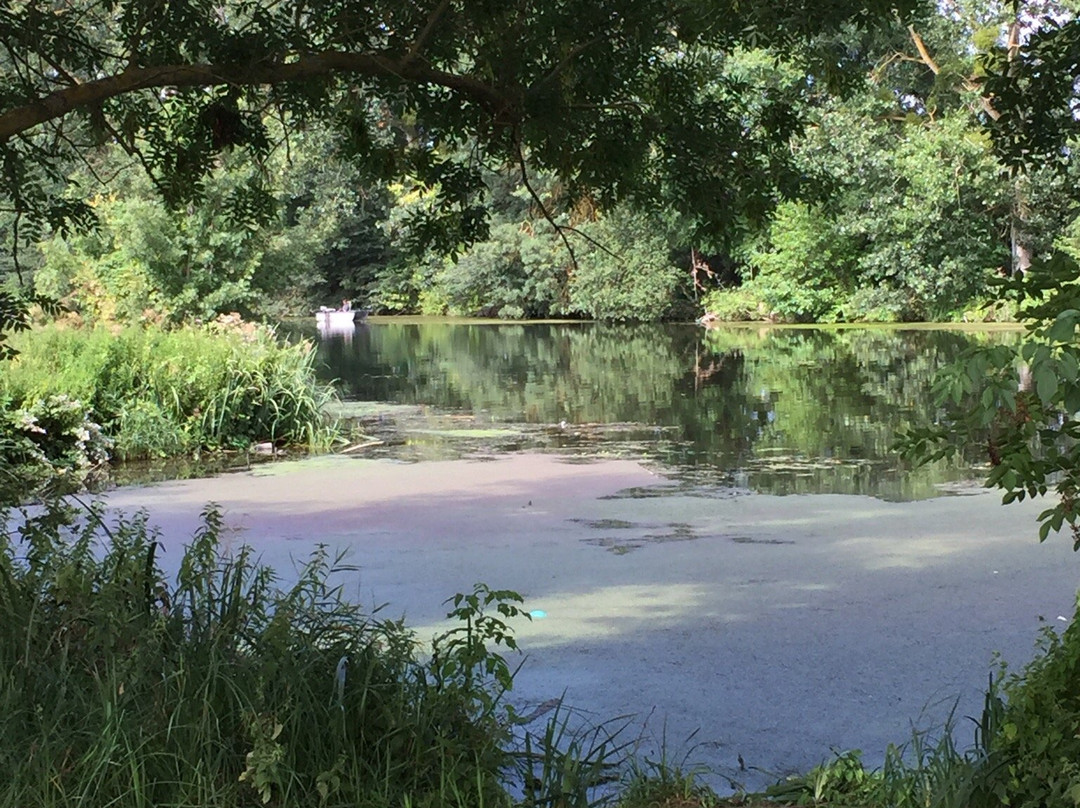 Parc de Forclan景点图片