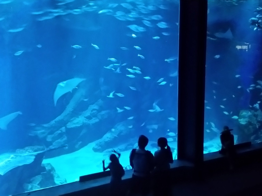 海中道海洋世界景点图片
