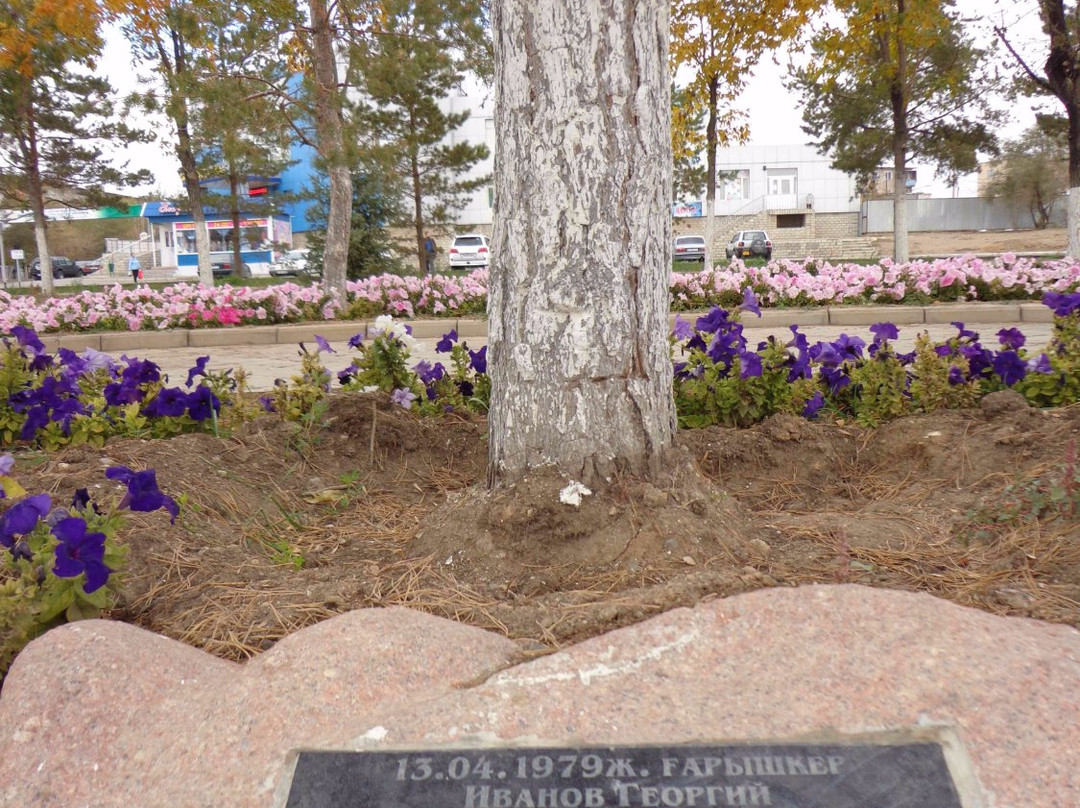 Alley of Pines Planted by Cosmonauts-Zhezkazgan必去景点