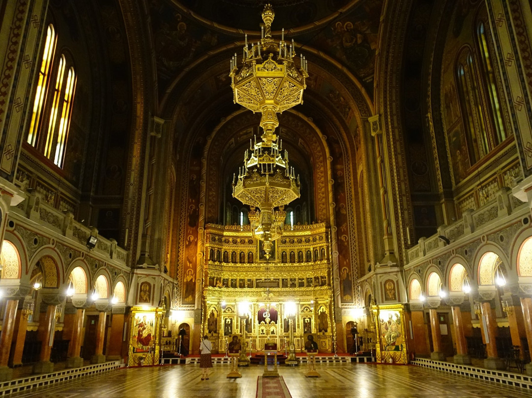 Timișoara Orthodox Cathedral景点图片