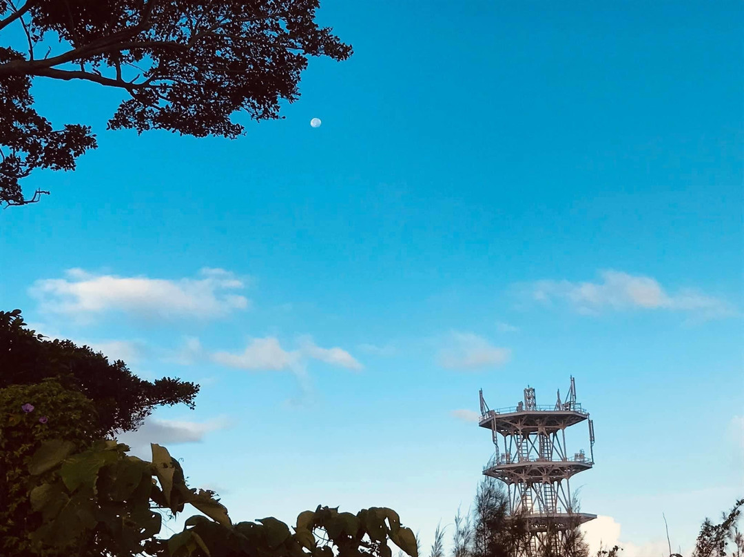 カレー革命軍Singh