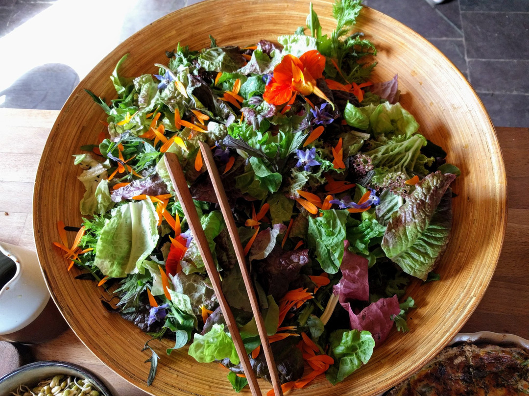 Macalla farm (Clare Island Yoga Retreat Centre)