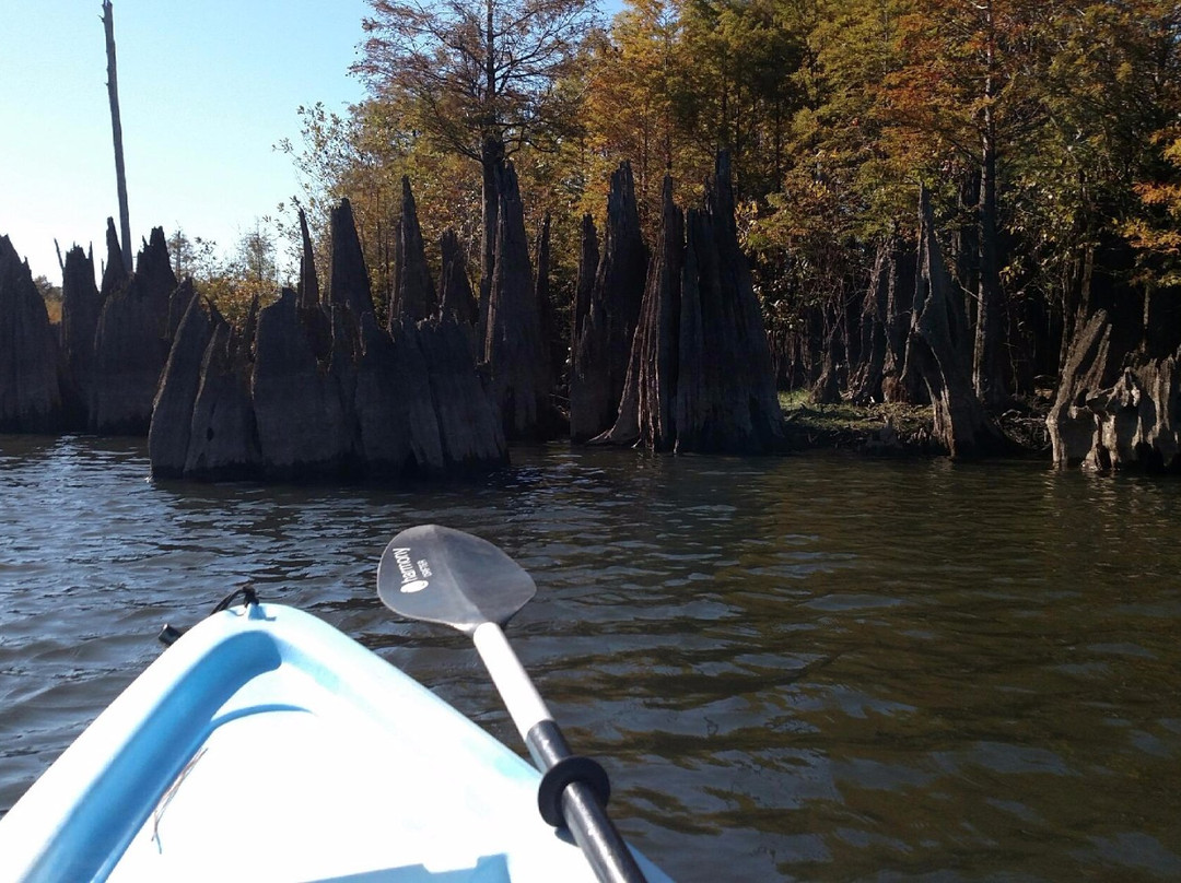 Barefoot Kayak & Paddle Board Rentals景点图片
