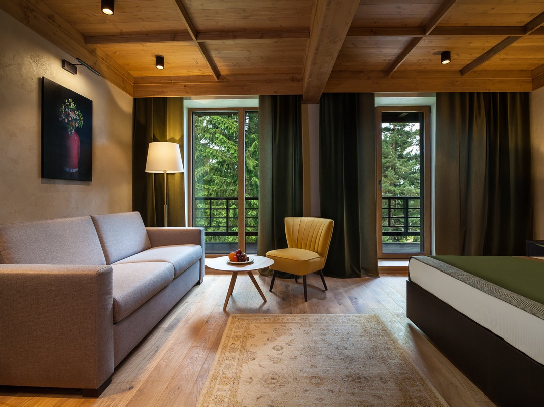 波亚纳布拉索夫酒店住宿-Ana Hotels Bradul Poiana Brașov