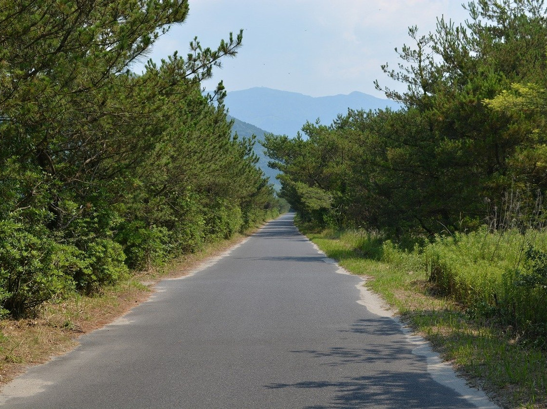 Kashiwabaru Beach景点图片