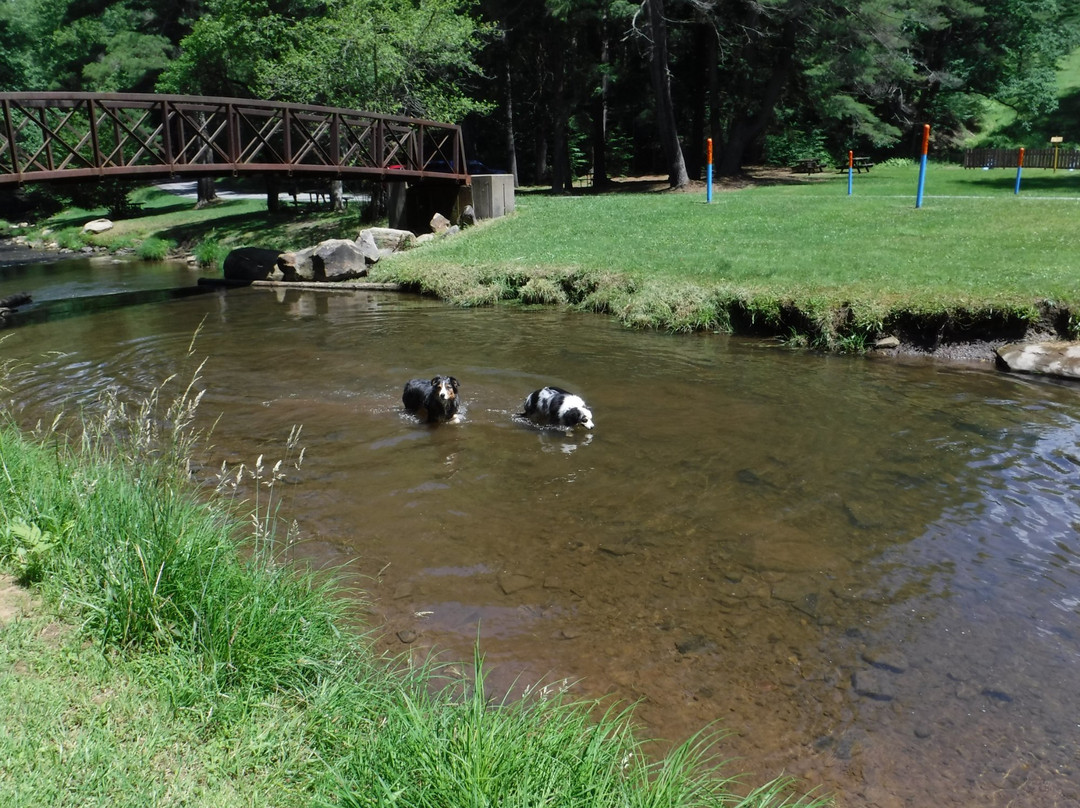 Clear Creek State Park-Sigel必去景点