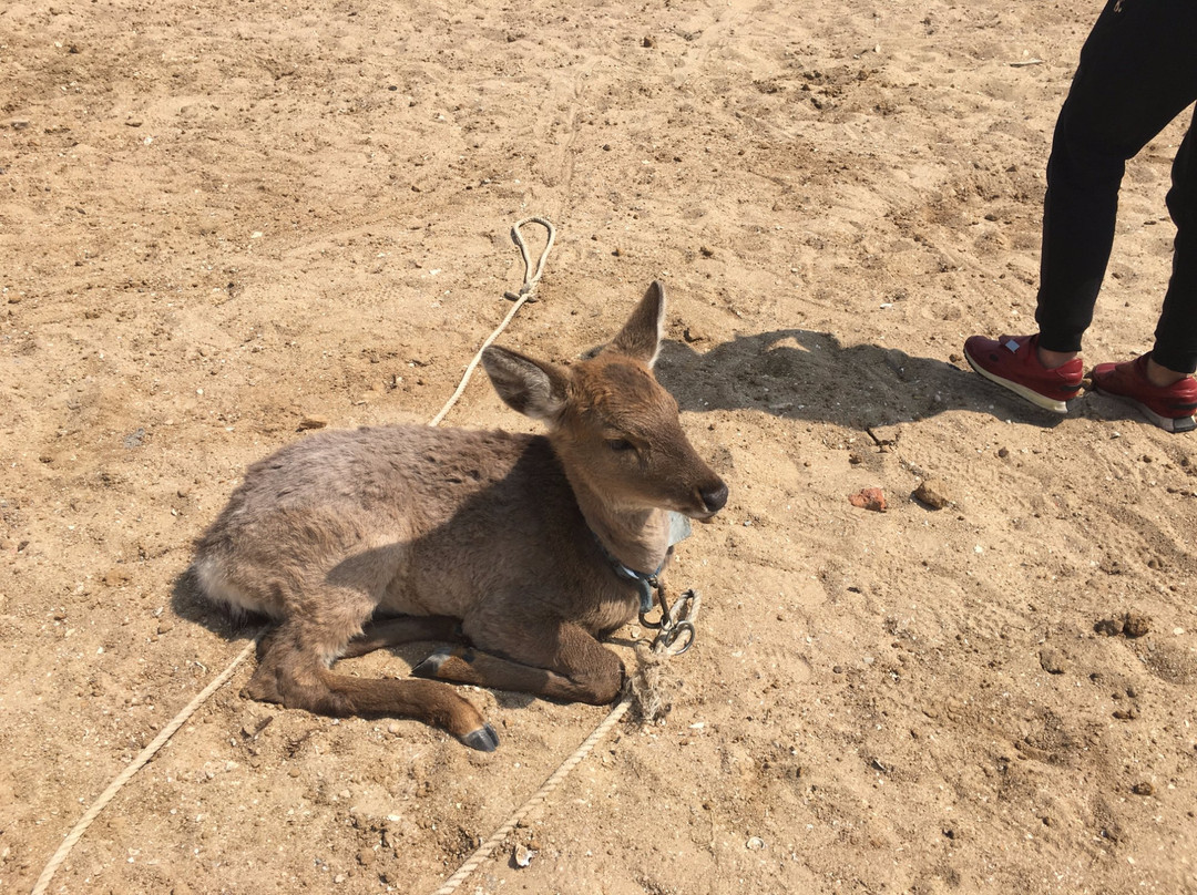 琅琊台风景区-胶南市必去景点
