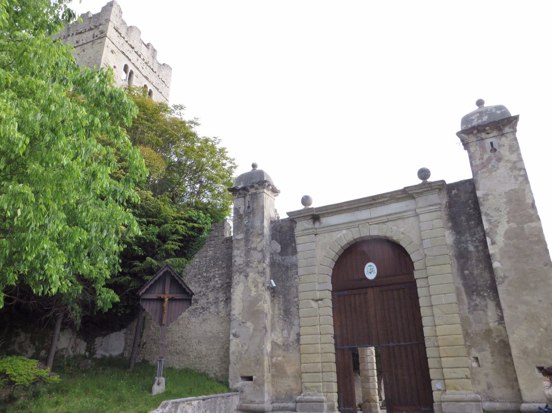 Castello di San Martino景点图片
