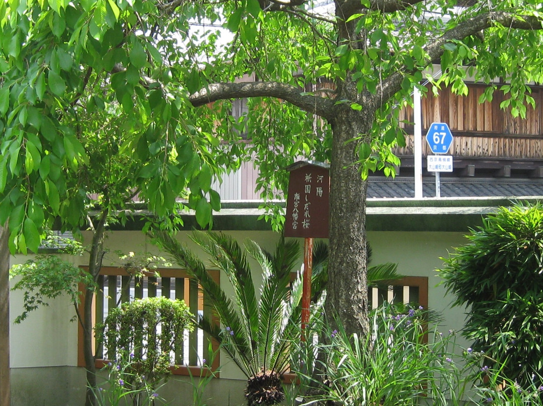 Rikyu Hachimangu-大山崎町必去景点