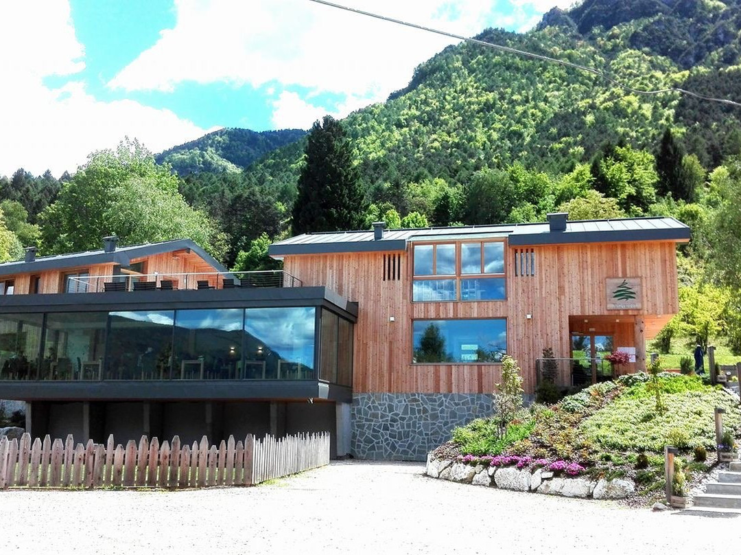 Ristorante Pizzeria Pineta