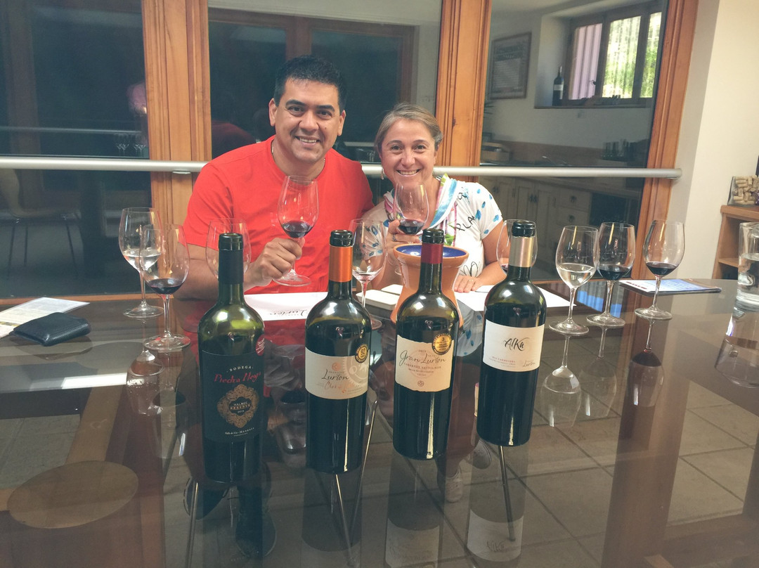 Viña Hacienda Araucano- François Lurton-Lolol必去景点