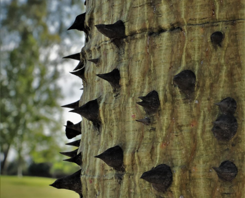 Washington Park-里弗赛德必去景点