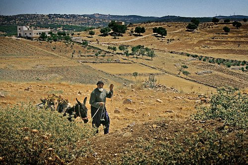 Wadi Jadid-米底巴必去景点