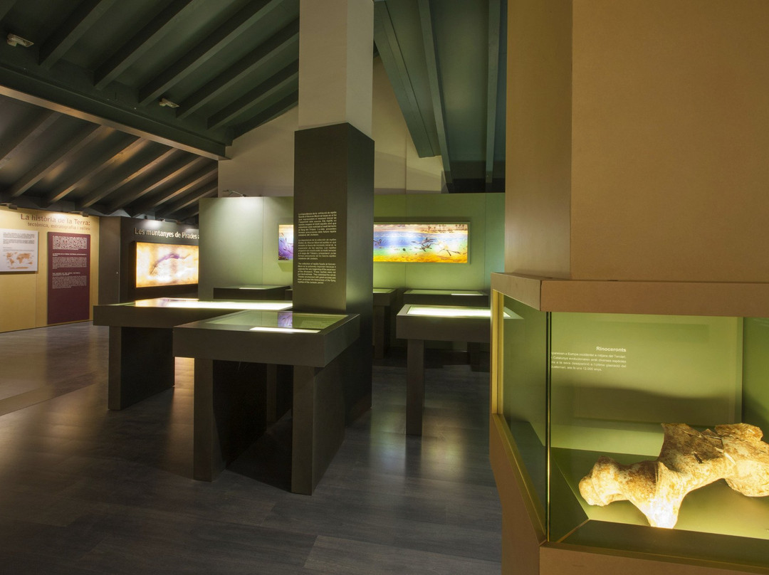Museu d'Alcover景点图片