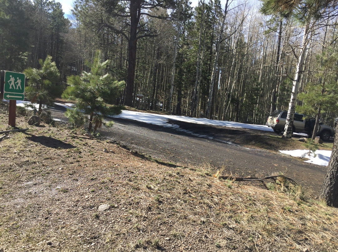 Mount Taylor-Grants必去景点