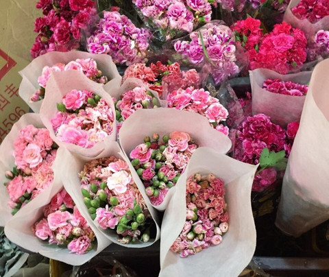 岭南花卉市场-广州市必去景点