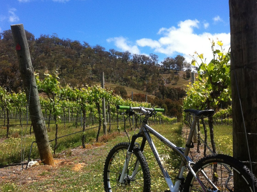 Wimmera Hills Winery-Elmhurst必去景点