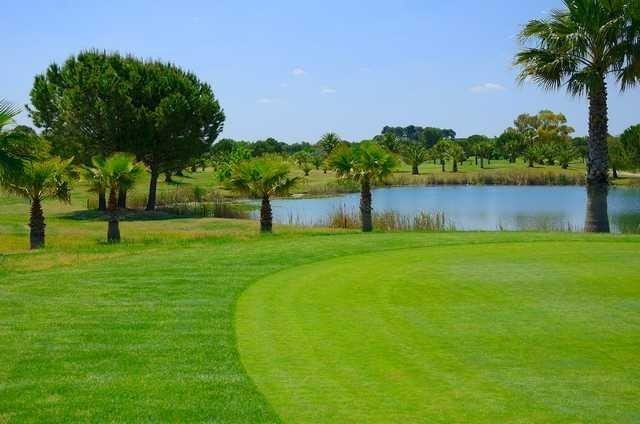 Barialto Golf Club景点图片