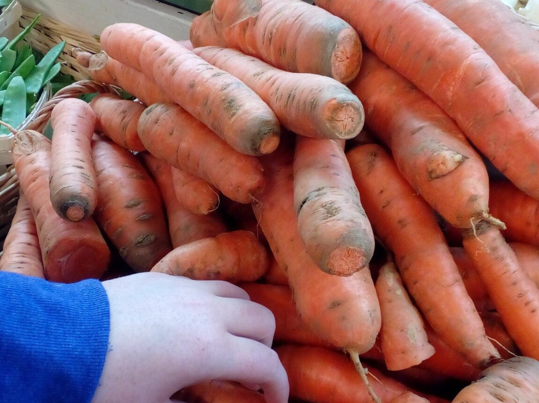 West Shore Farmers Market-Lemoyne必去景点