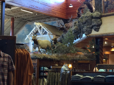 The Rim-圣安东尼奥市必去景点