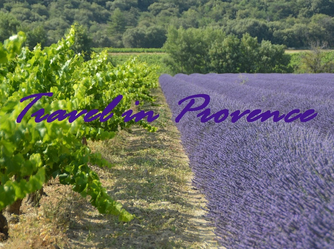 Travel in Provence景点图片