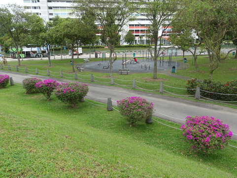 Pandan Reservoir-新加坡必去景点