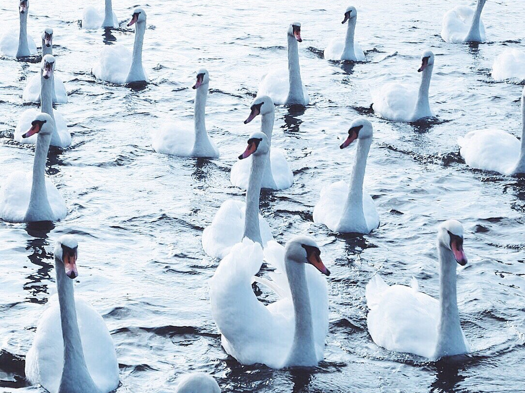 Mobile Photography Workshop-布拉格必去景点