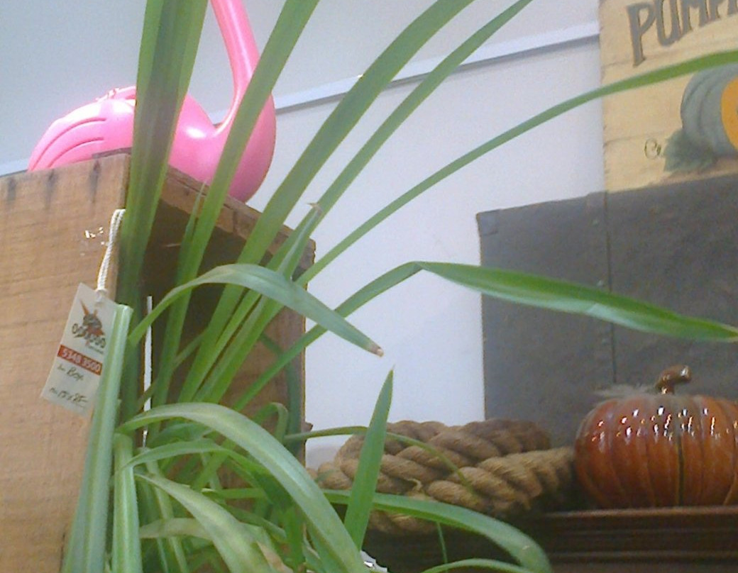 Brick Lane Bazaar-戴尔斯福特必去景点