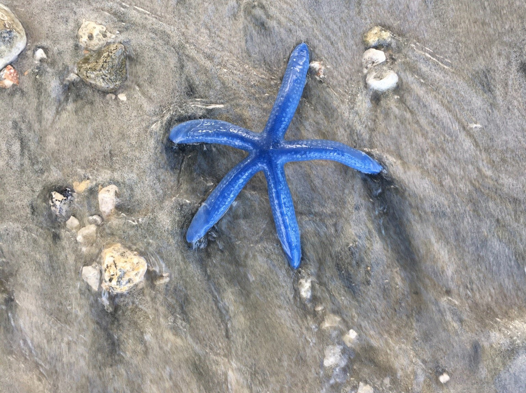 Piti Bomb Holes Preserve-Piti必去景点