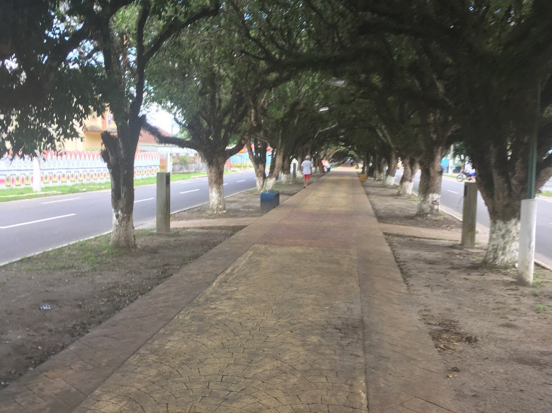 Itapiranga旅游景点-Túnel Verde de Itacoatiara