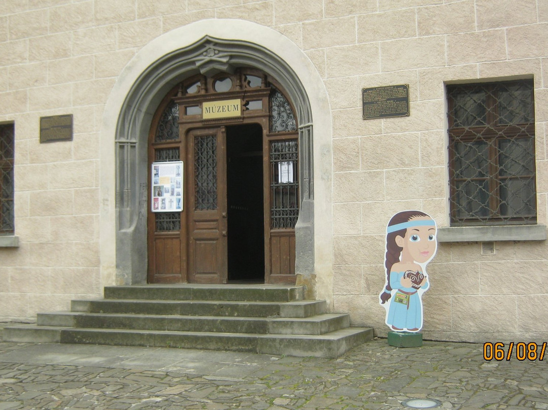 Saris Museum - Town Hall-布拉迪斯拉发必去景点