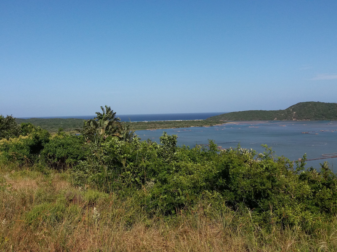 Cosy Bay Beach-Oudekraal必去景点