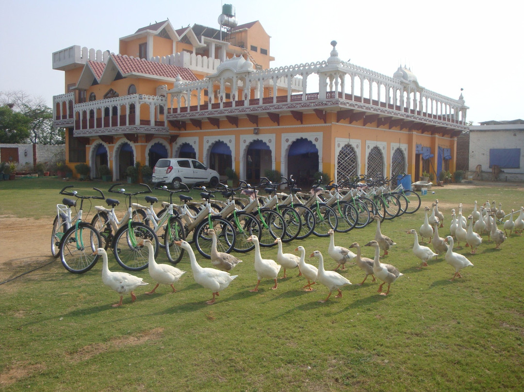 Banni Khera Farm