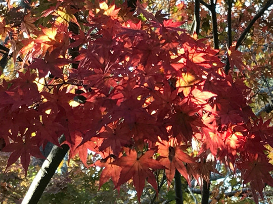 Kitaharima Yokamura Park-多可町必去景点