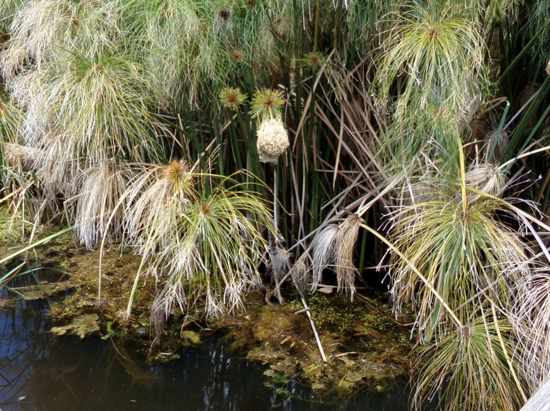 Mont Destin Wines-斯泰伦博斯必去景点